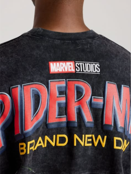 SPIDERMAN:BRAND NEW DAY