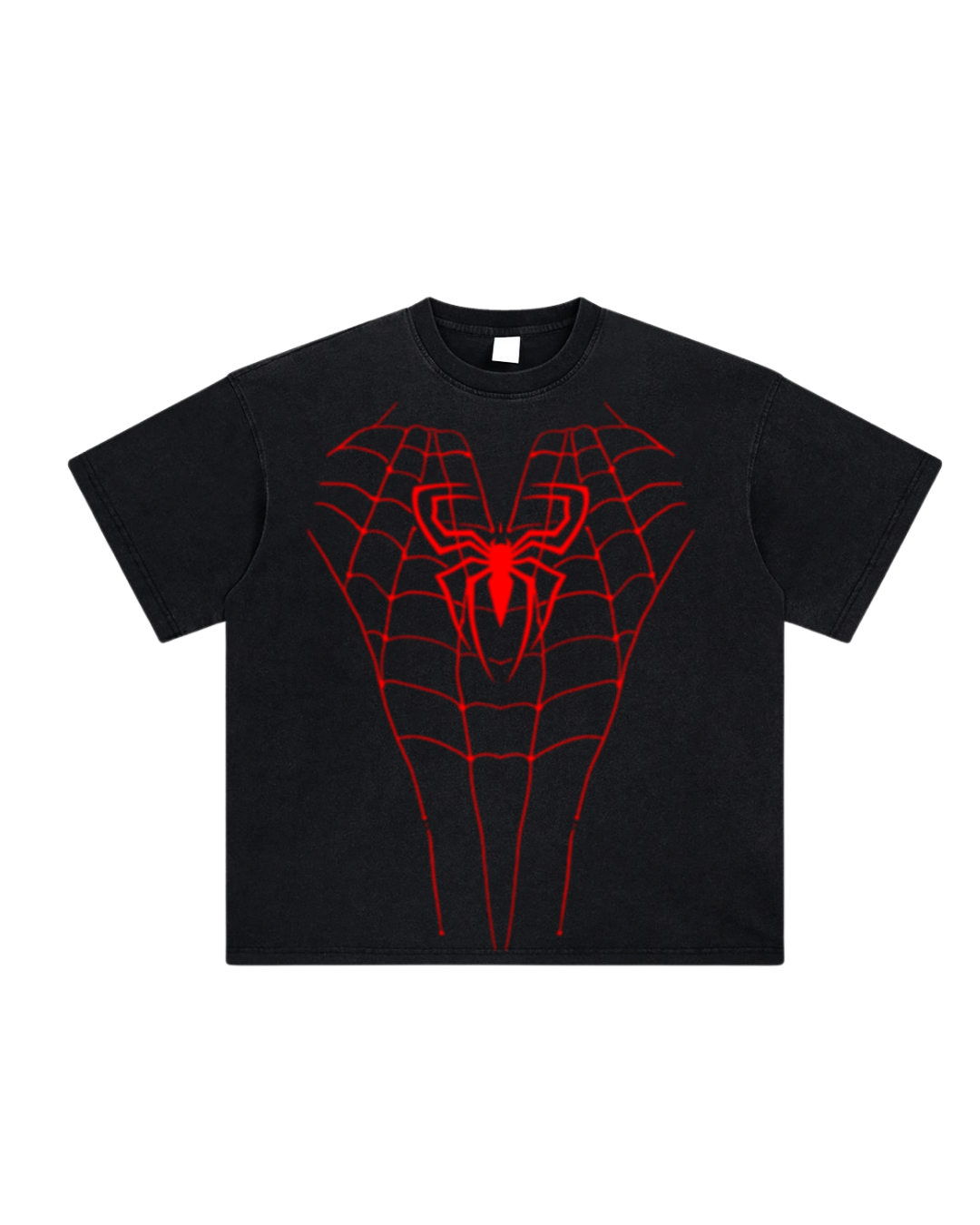 SPIDER01
